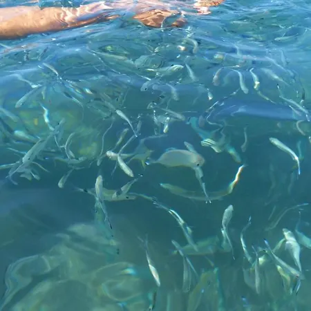Costa De A 50m Playa San Miguel דירה אלמריה